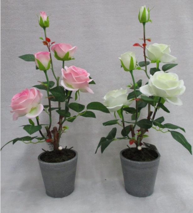 21# Rose Bonsai