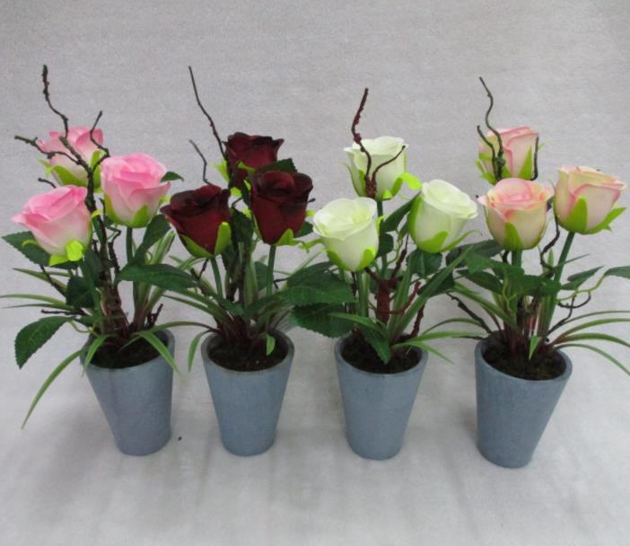 26#potted Rose