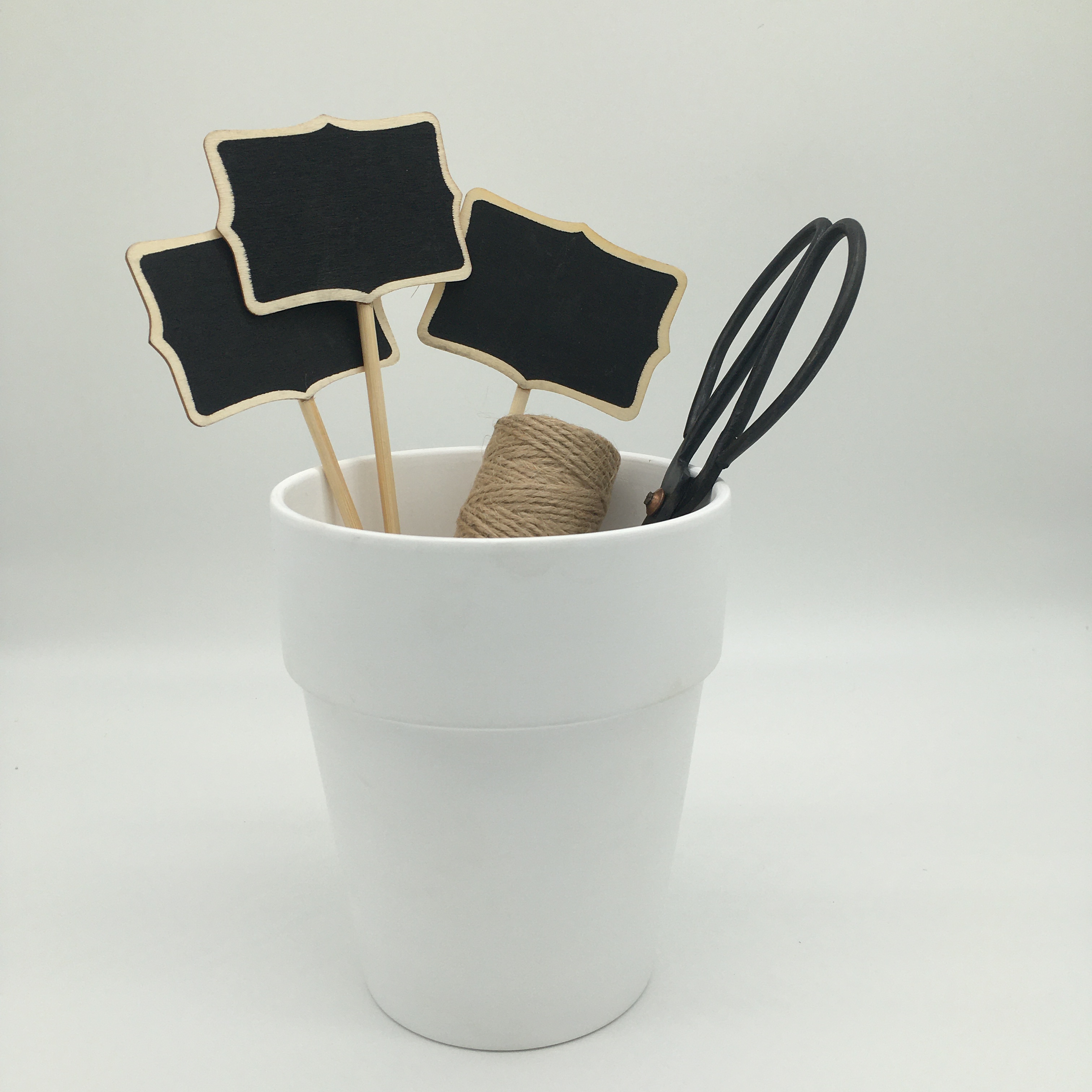 Succulent plant tools set