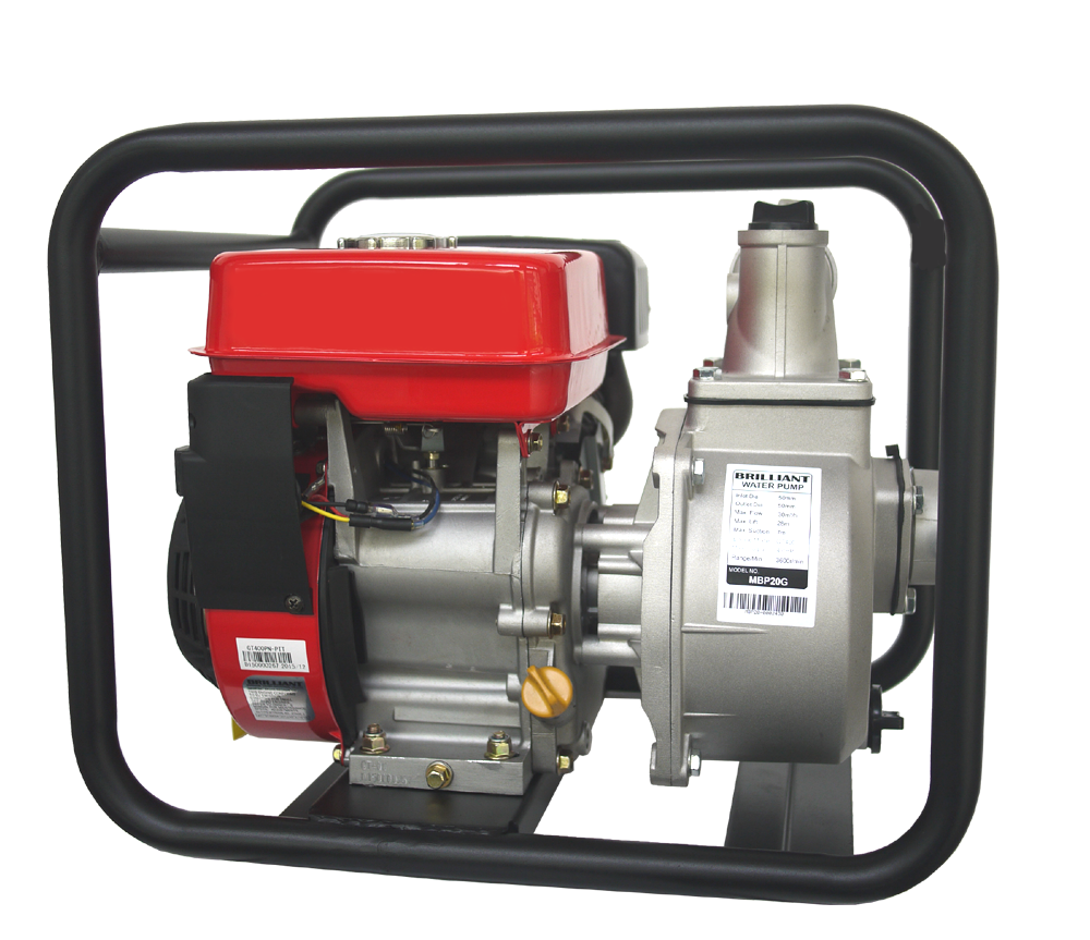 Gasoline engine pump