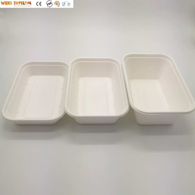 100% Biodegradable Sugarcane Trays Disposable Compostable Sugarcane Lunch Box