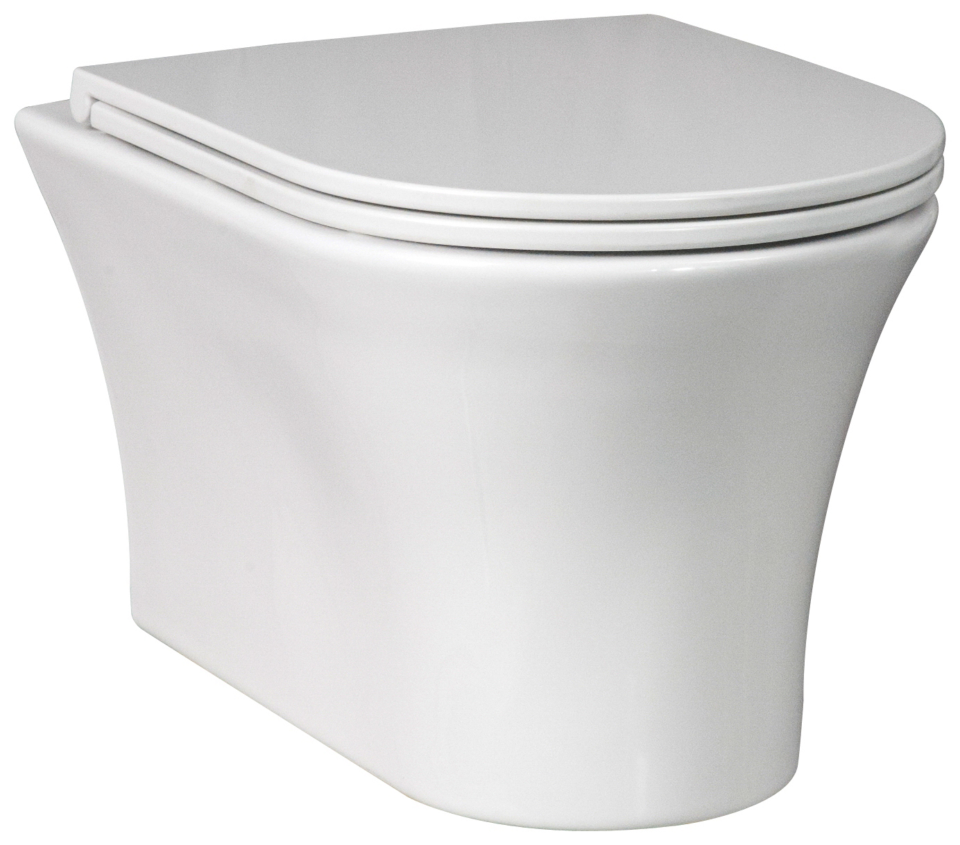 wash down wall hung toilet