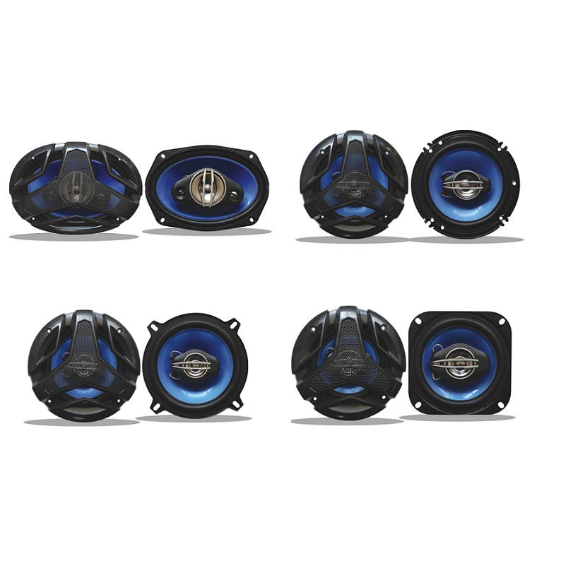 Speaker