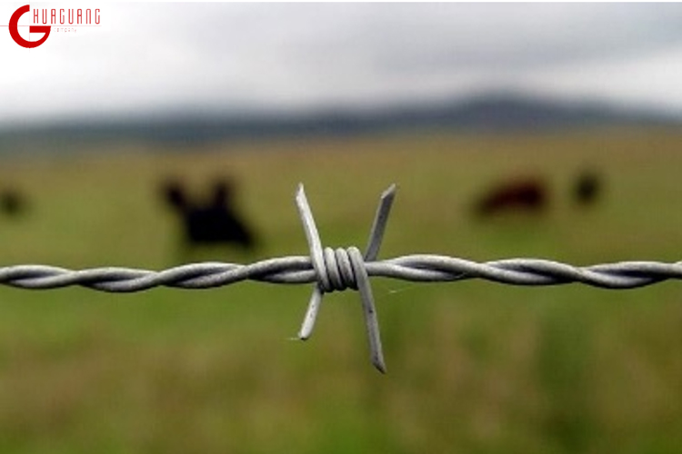 barbed wire