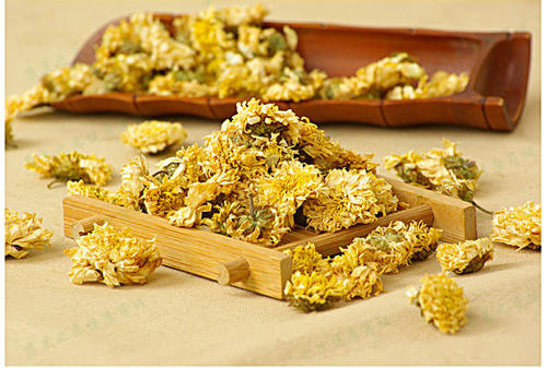 Flos Chrysanthemi