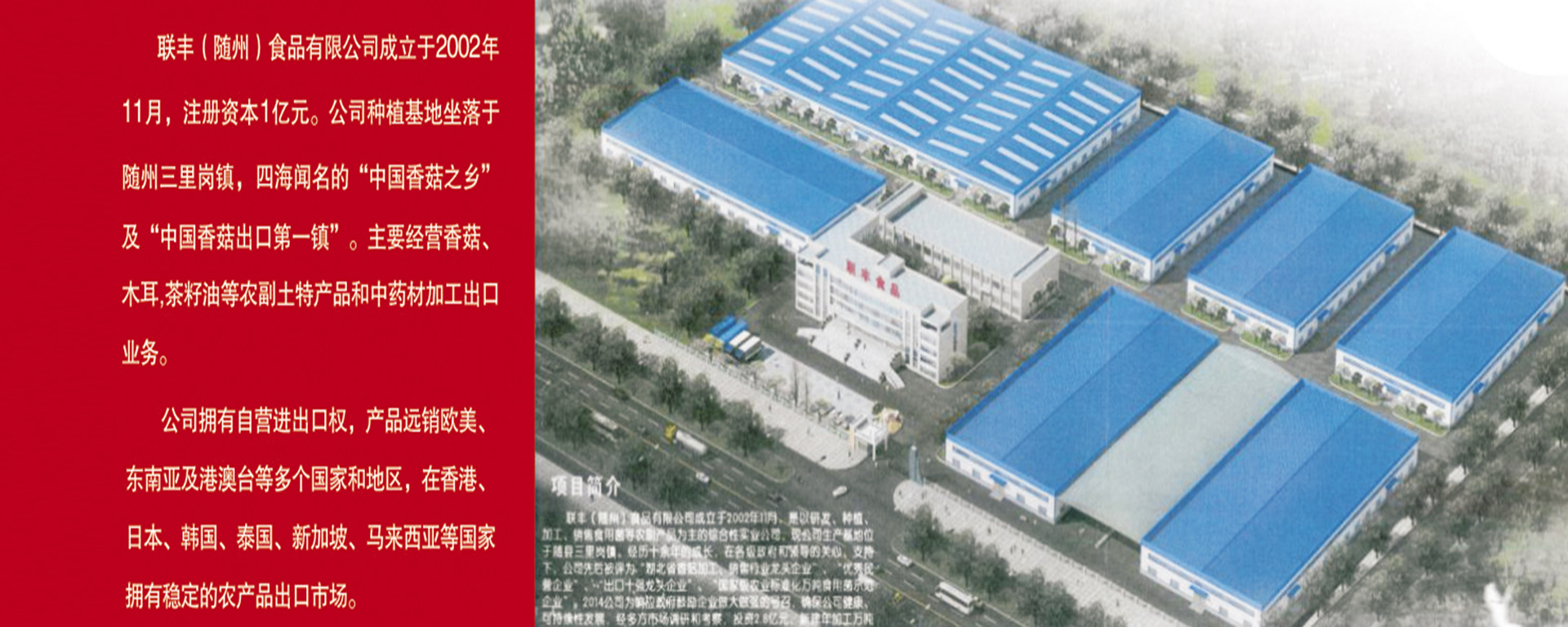 Lianfeng (Suizhou) Food Co., Ltd. – Mushrooms 1