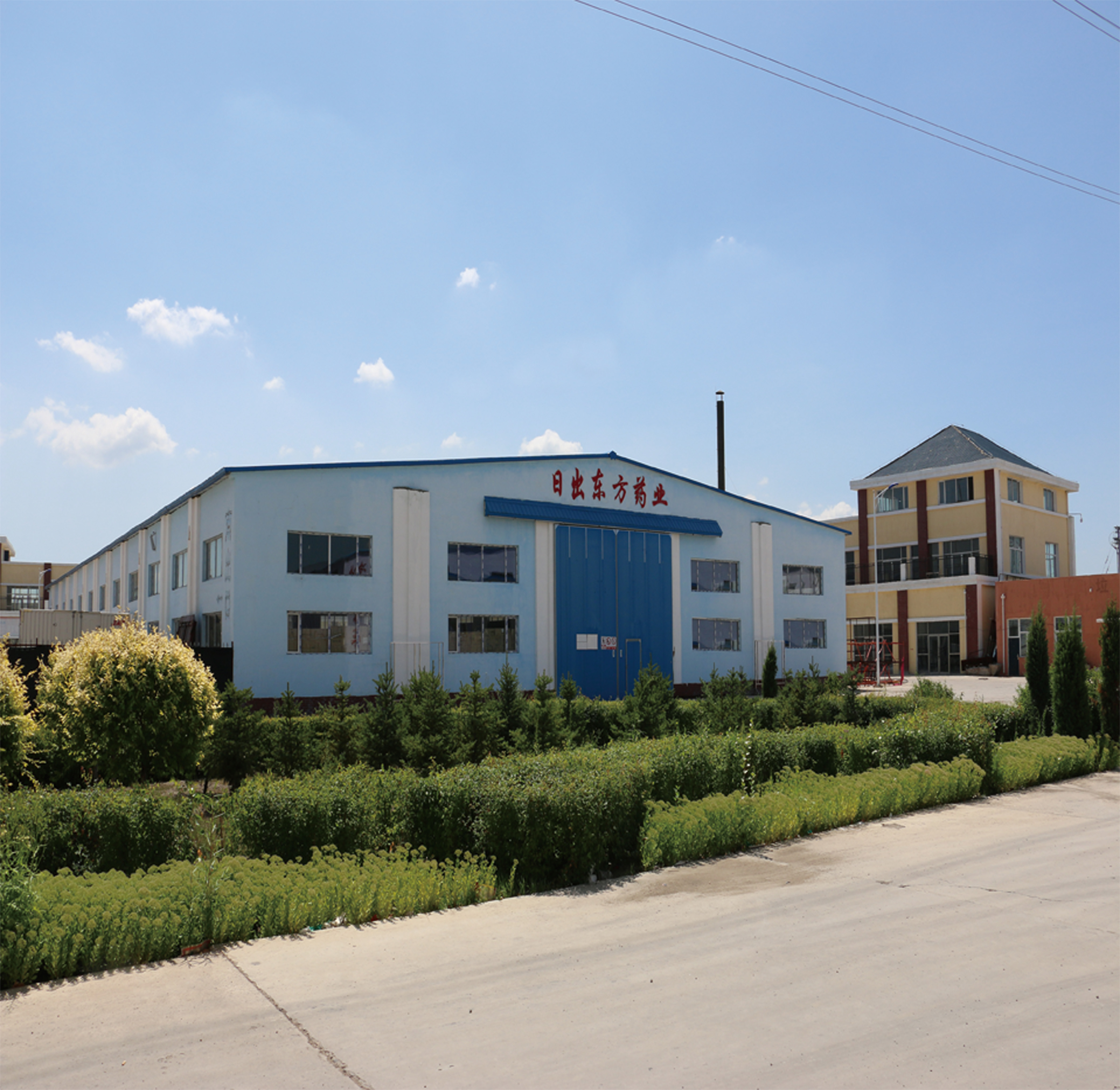 Inner Mongolia Sunrise Pharmaceutical Co., Ltd. – licorice 2
