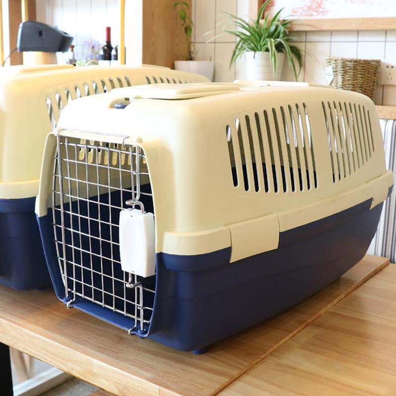 pet luggage carrier
