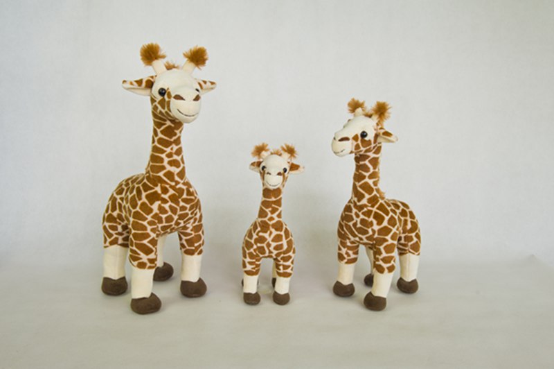 Wild animals