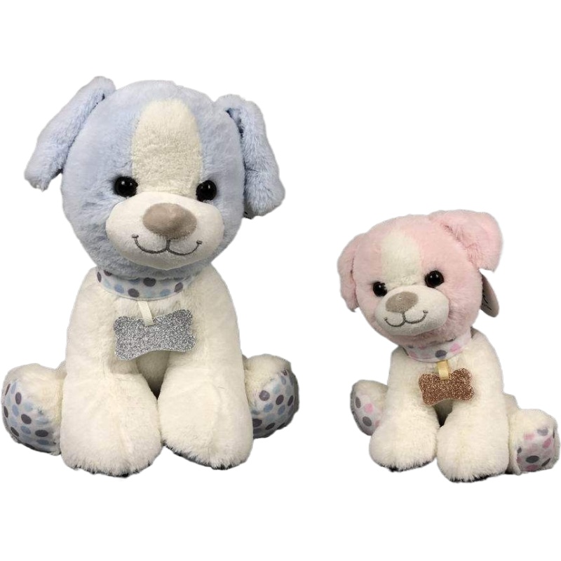 Cute dog