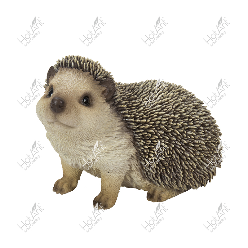 Baby Hedgehog
