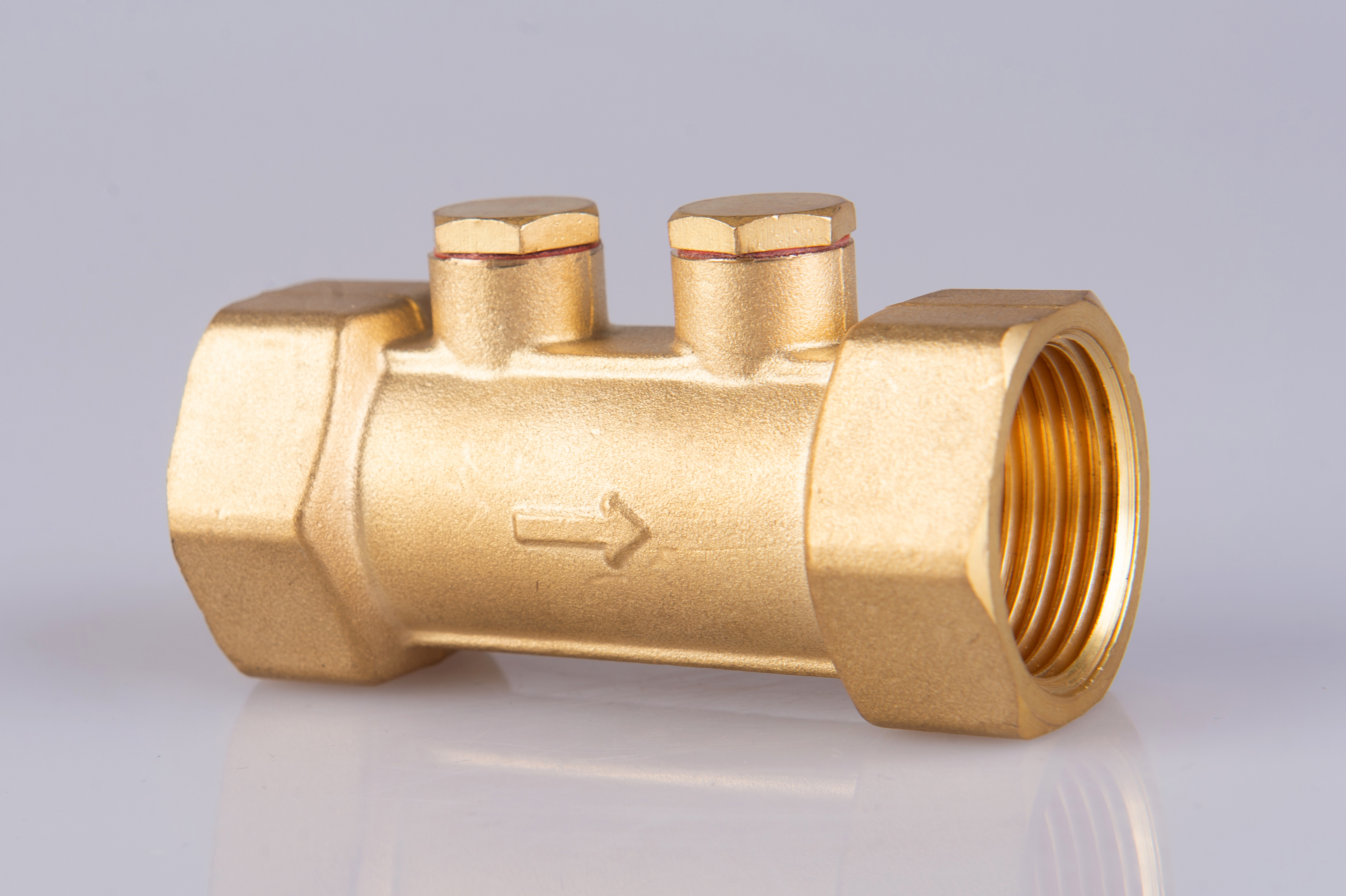 Check valve