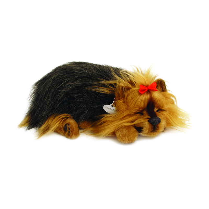 Perfect Petzzz - Yorkie