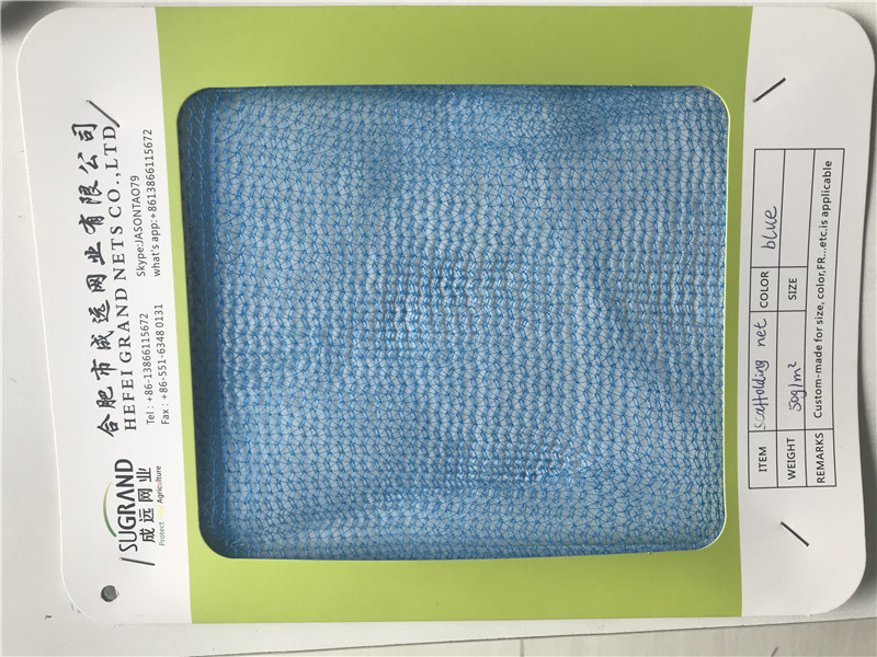 50G Blue Scaffolding Safety Net