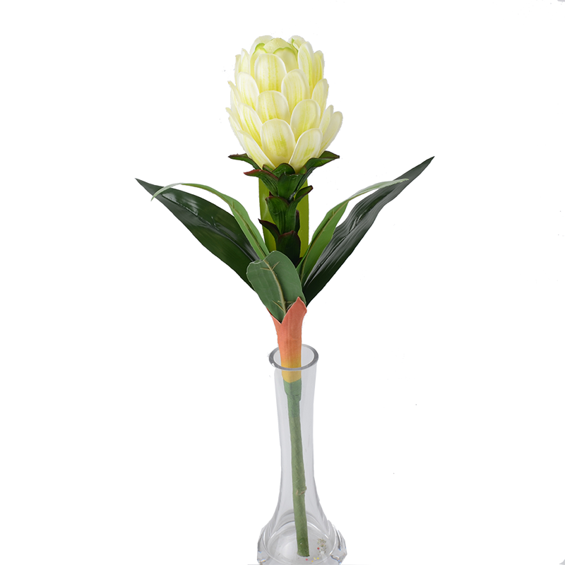 artificial tropical flower and plants