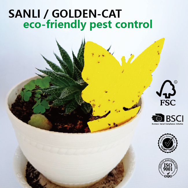 Butterfly Shape Flying Insects Glue Trap