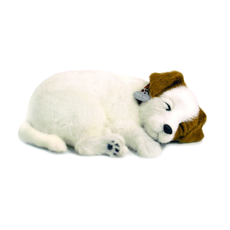 Perfect Petzzz - Jack Russell