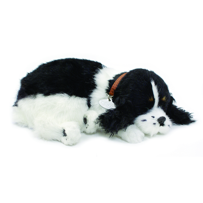 Perfect Petzzz - Cocker Spaniel