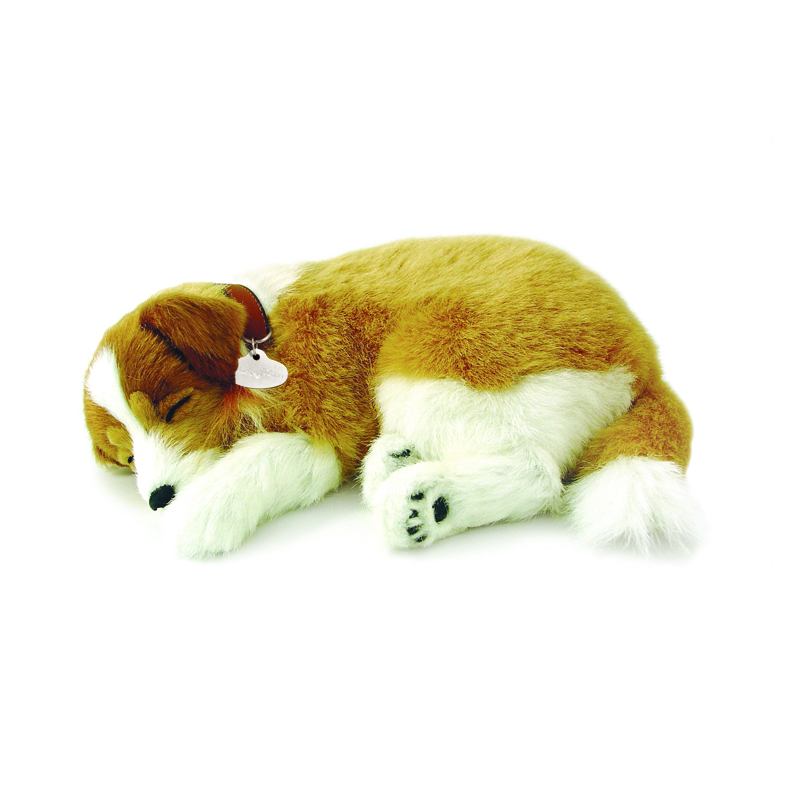 Perfect Petzzz - Collie