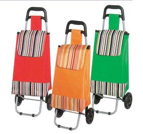 Trolley Bag