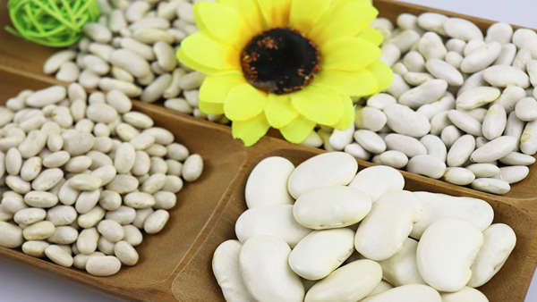 White Kidney Bean