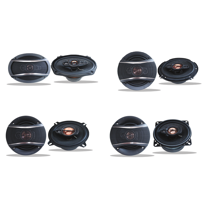 Speaker