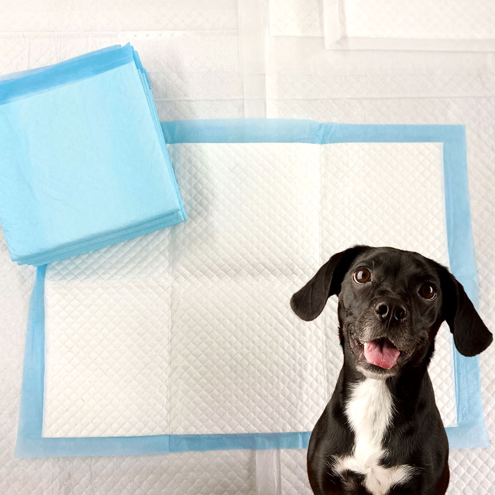 Amazon attractant disposable pad pee pad with stickers good absorption