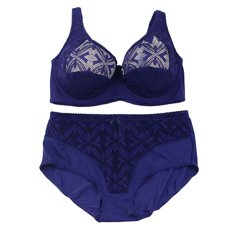 plus size ladies sexy lace panty and bra sets