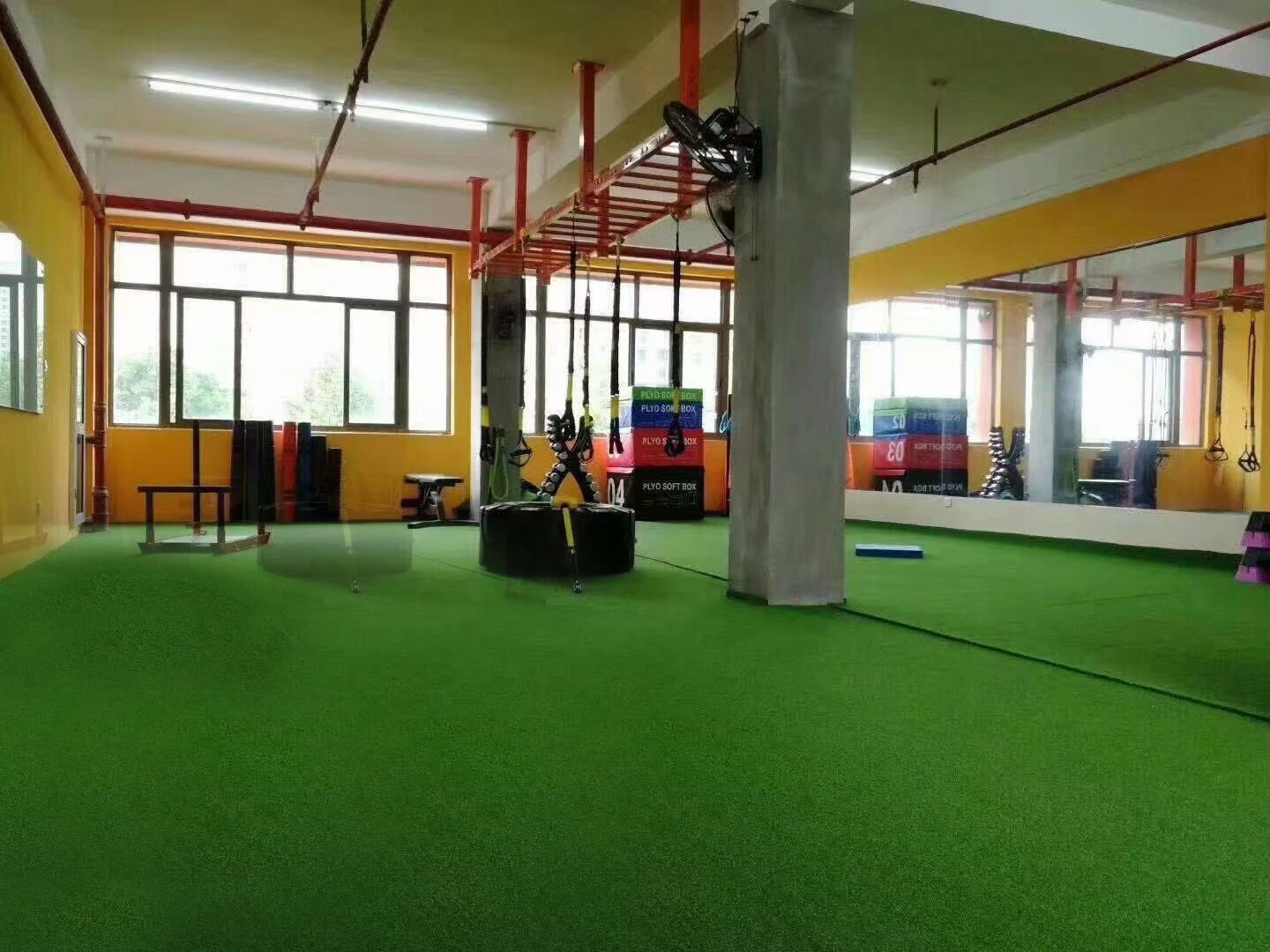 Artificial Turf