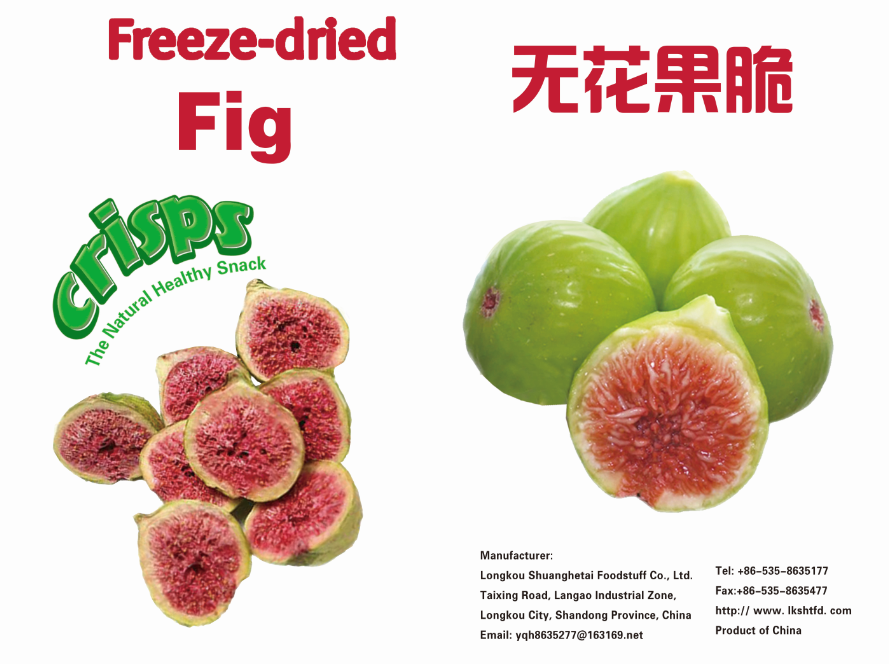 Freeze Dried Fig