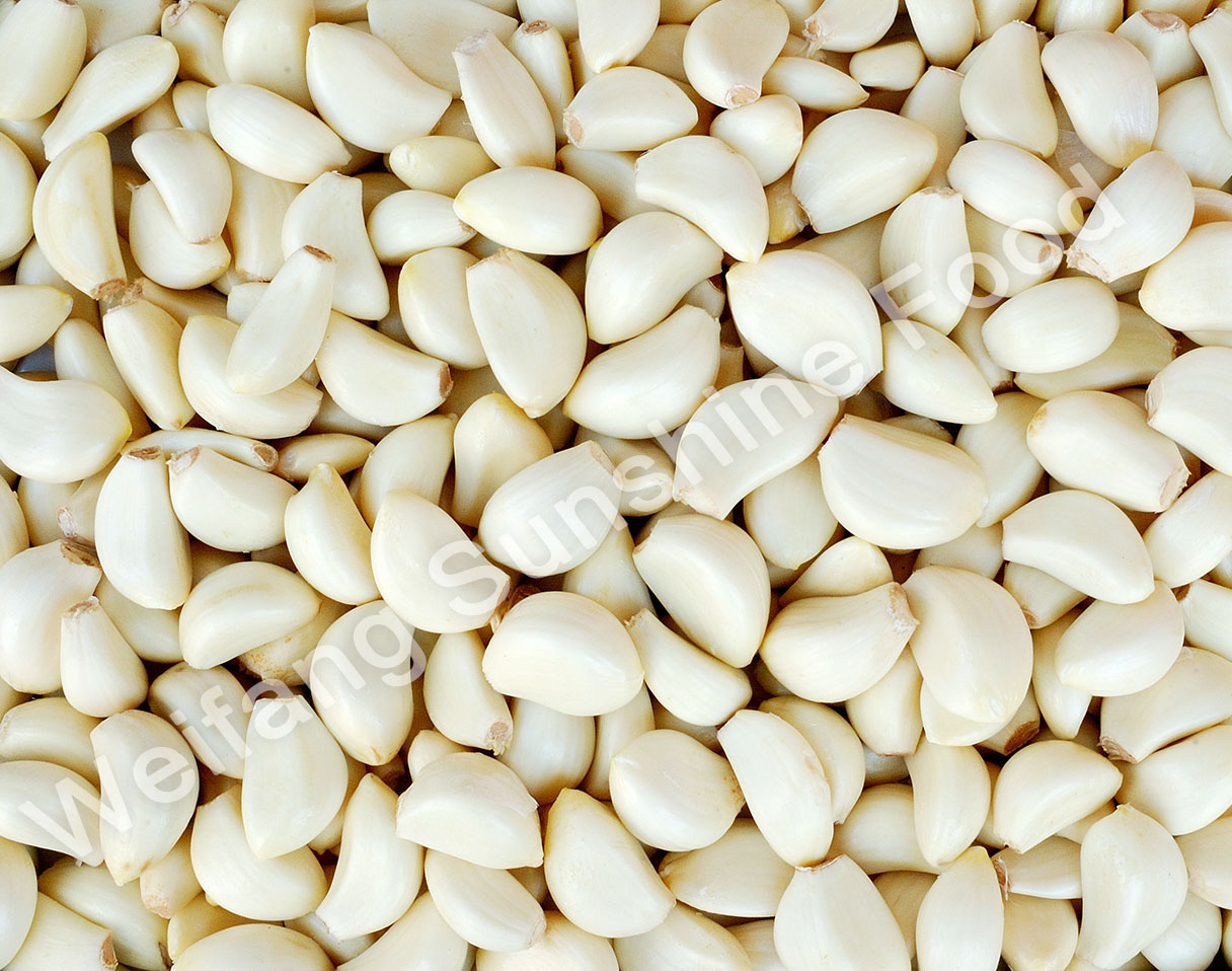 Fresh Garlic