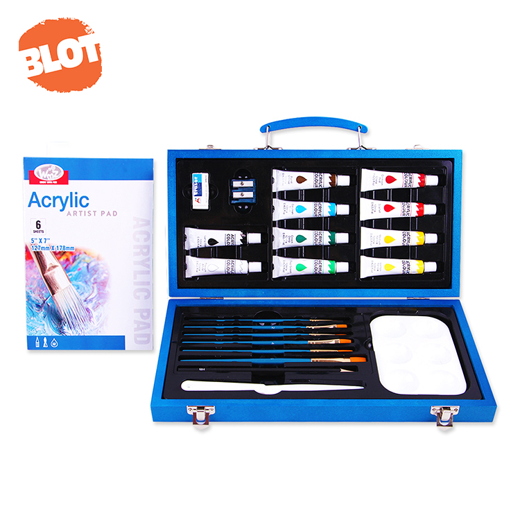 Beginner Acrylic Art Set
