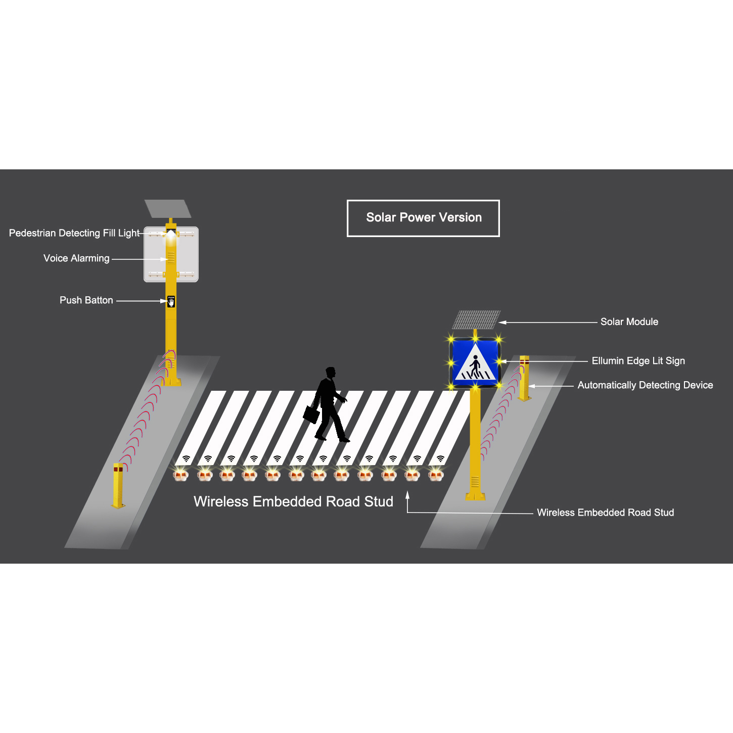 Intelligent Pedestrian Crossing System