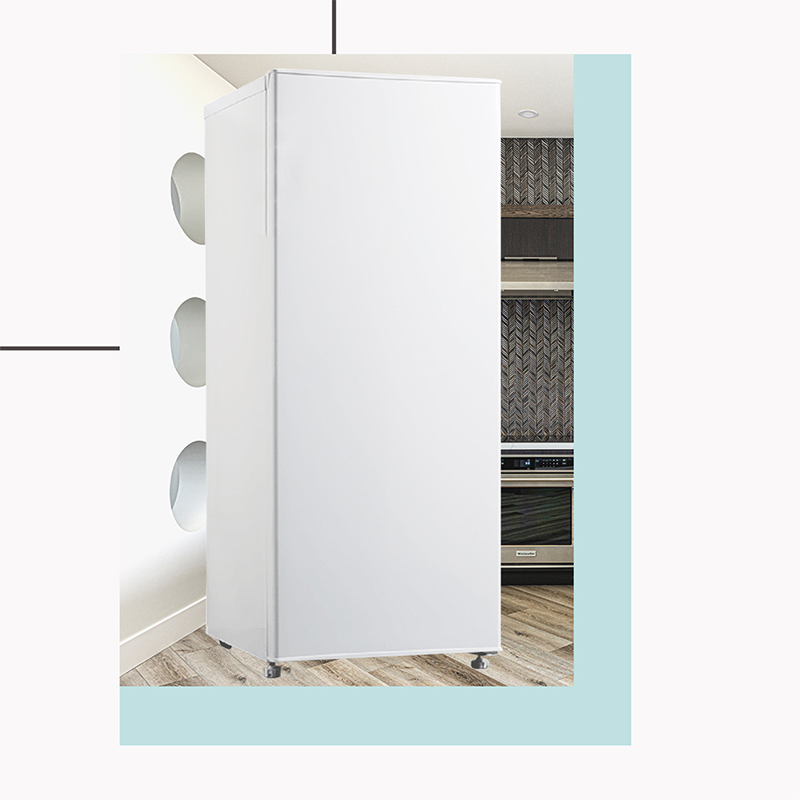 Single door refrigerator