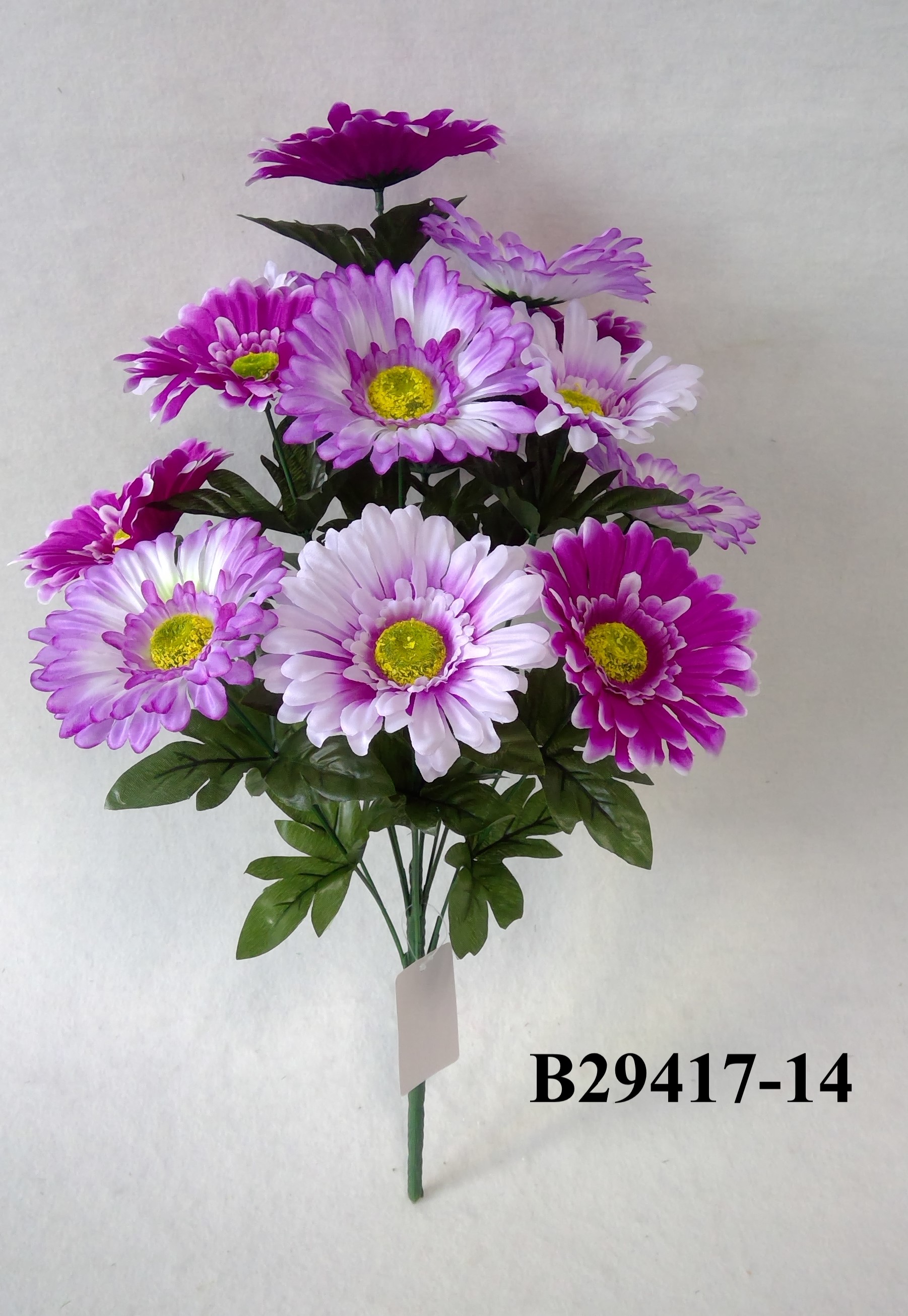 Gerbera bush x 14
