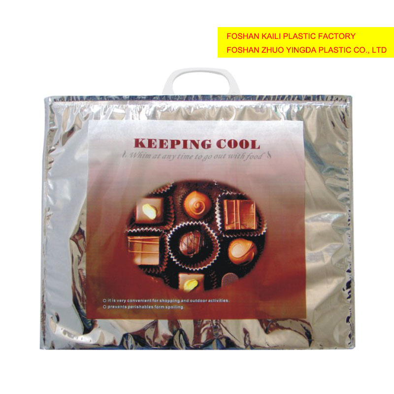 Thermal bag/Cooler bag/Insulated bag