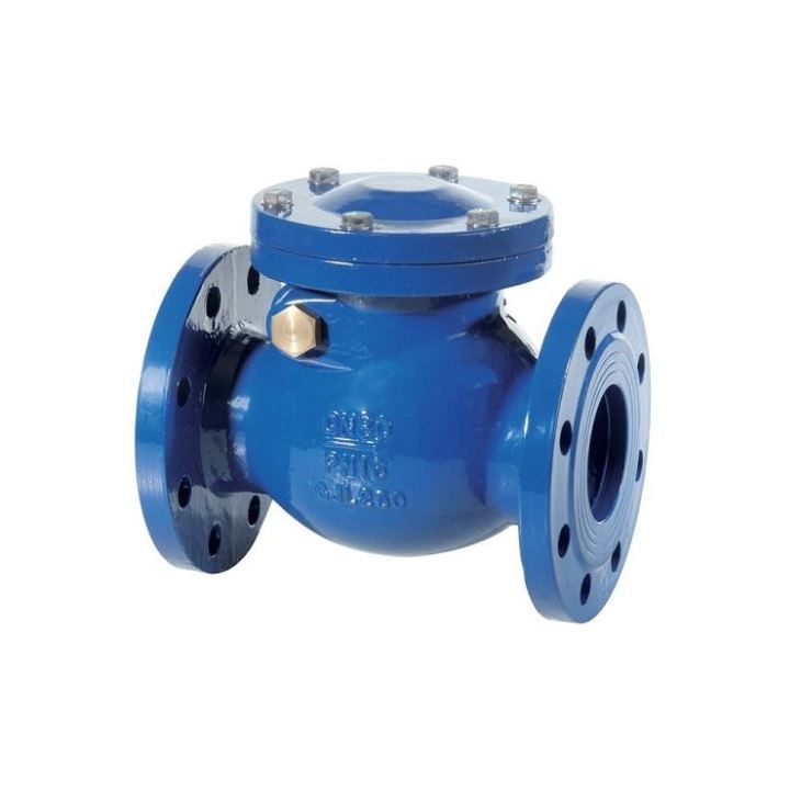 Swing Check Valve