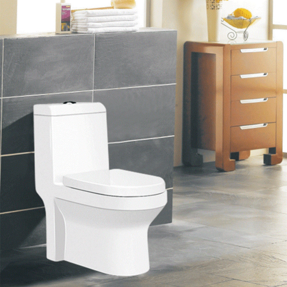 One piece toilet T-S5382