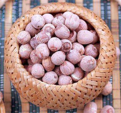 Lotus Seed