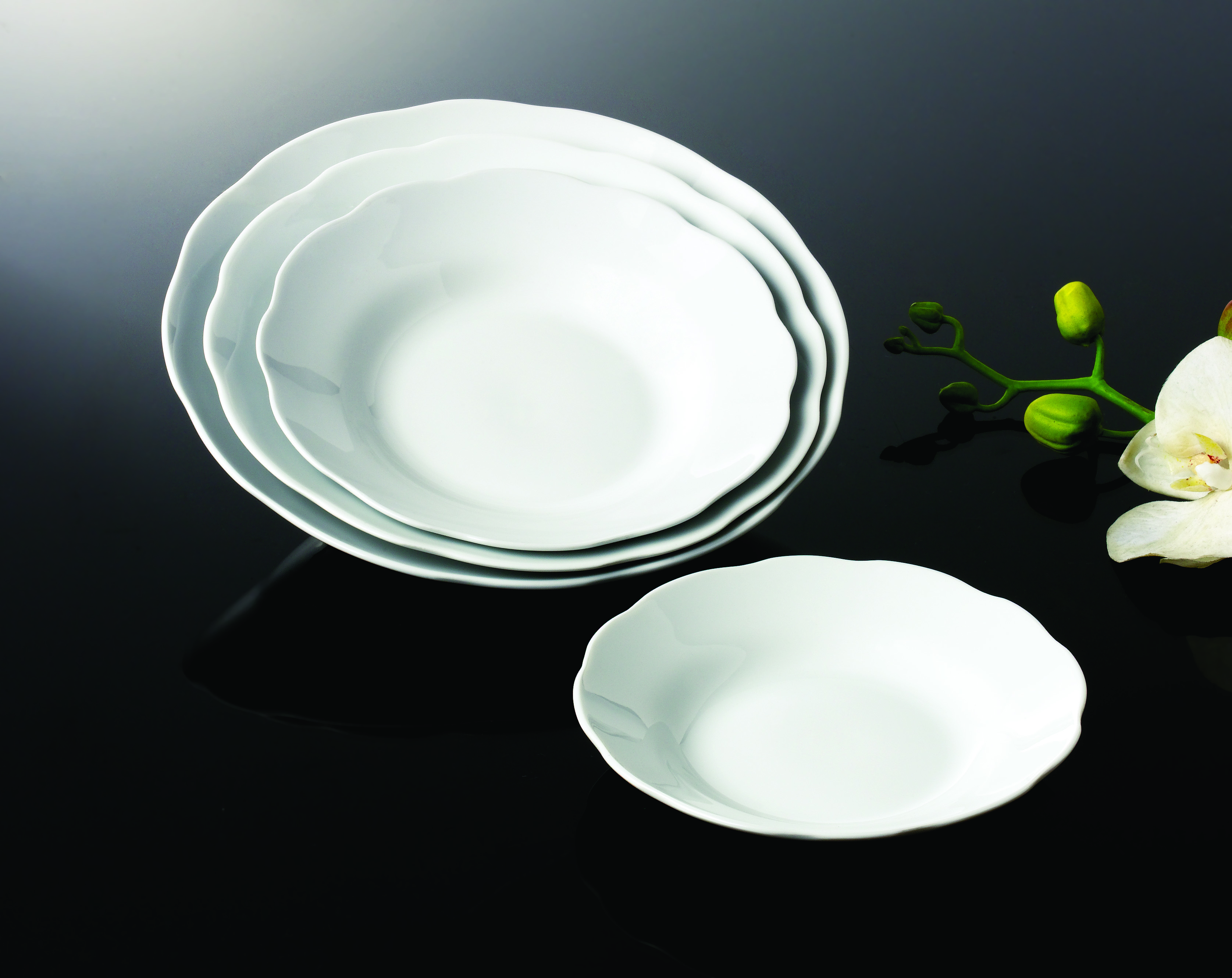 Soup Plate