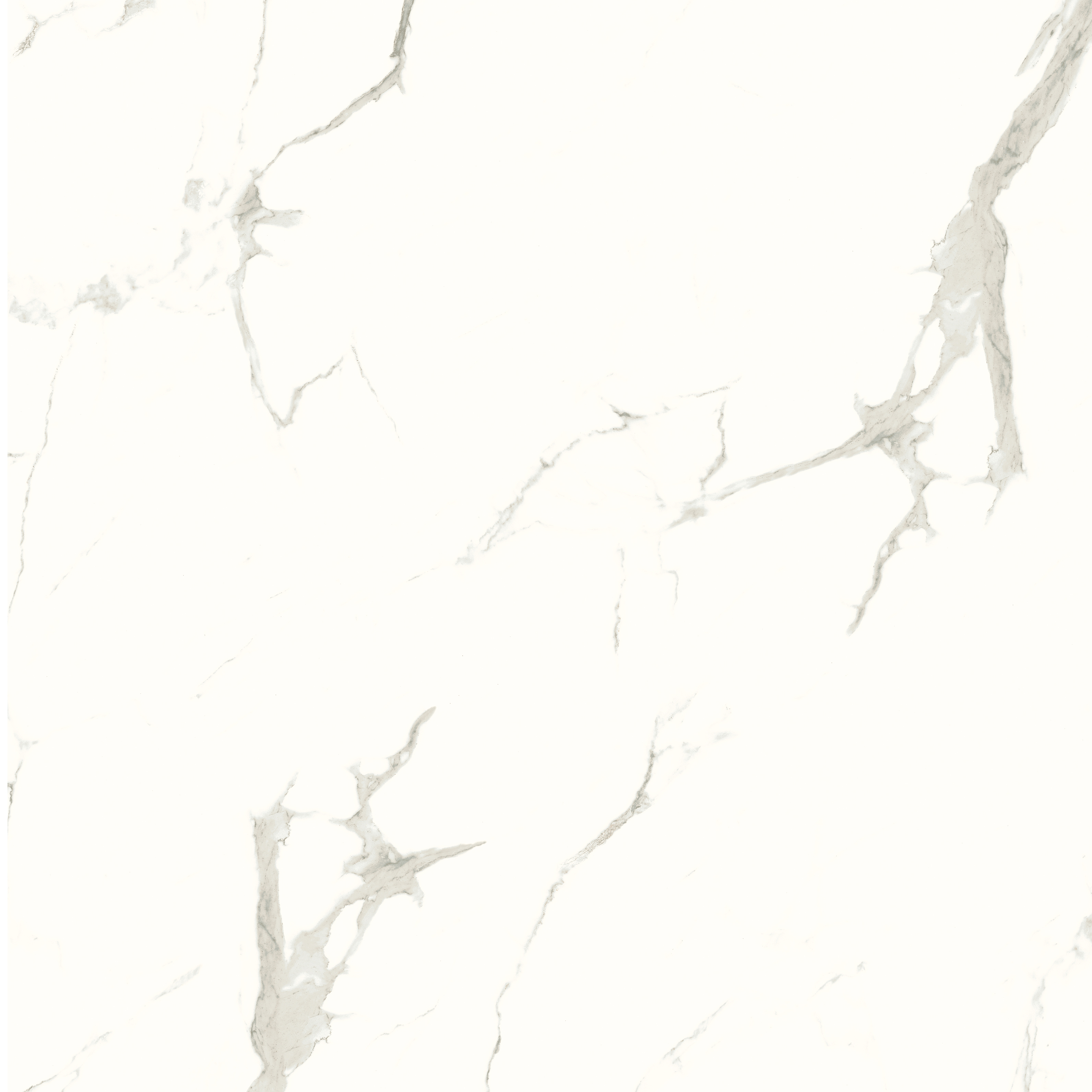 Glazed Tile-SHG-66E0501Q