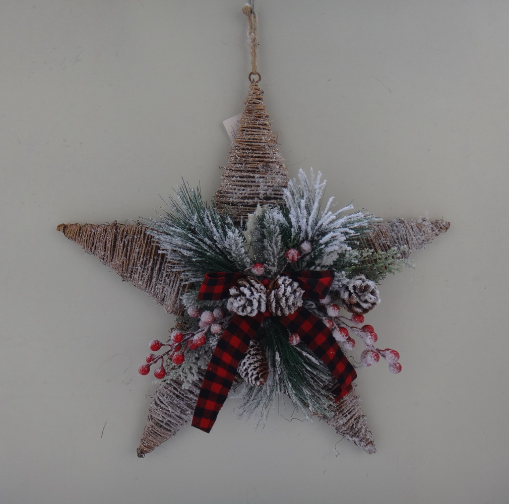 Christmas Star
