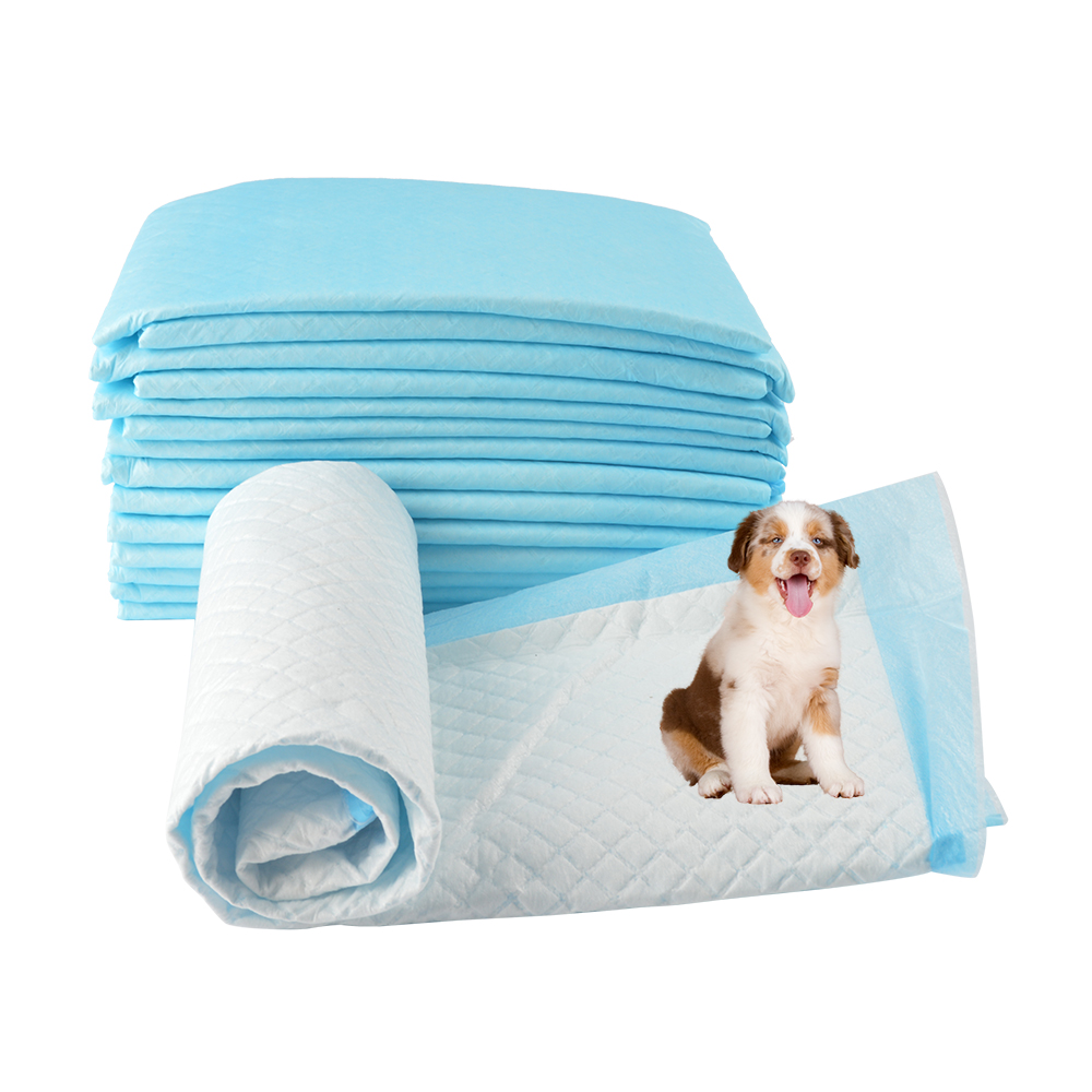 Good absorption Puppy pad