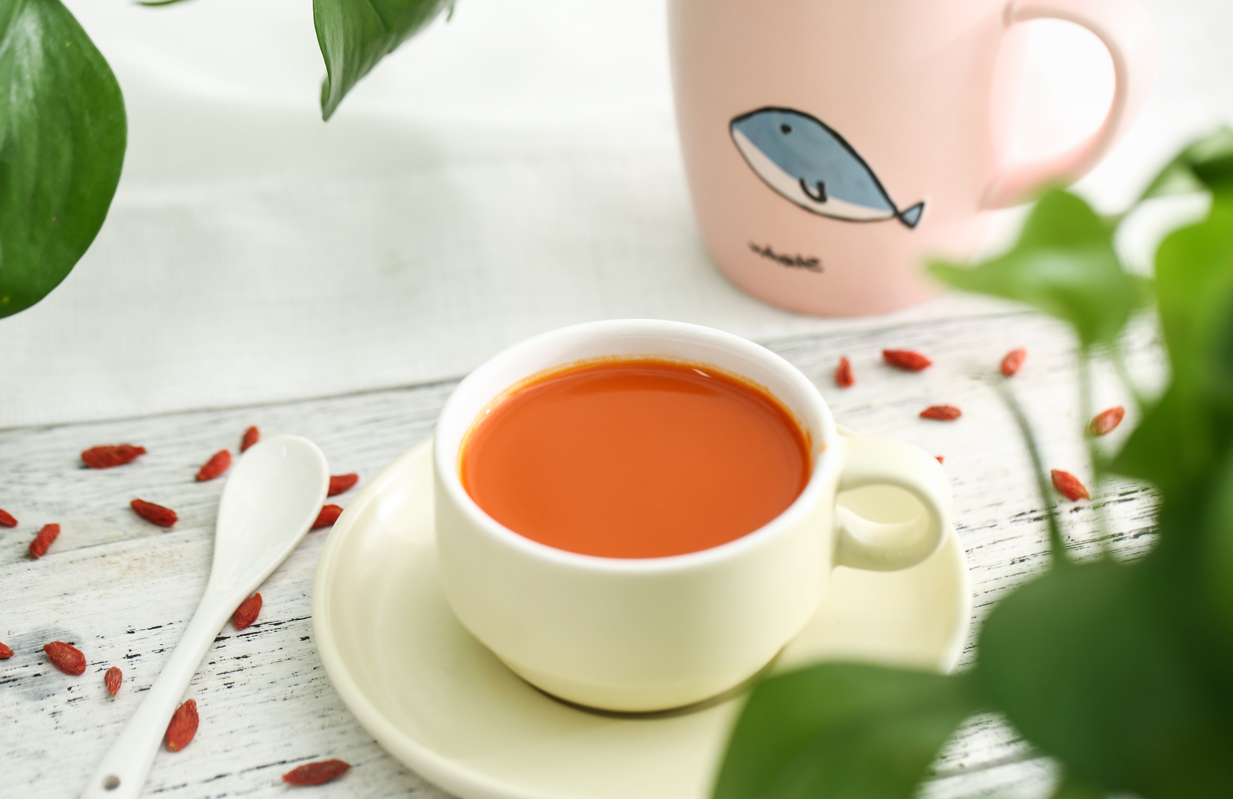Ningxia Qixiang Biological Foodstuff Co., Ltd. – bicicleta de montaña 3