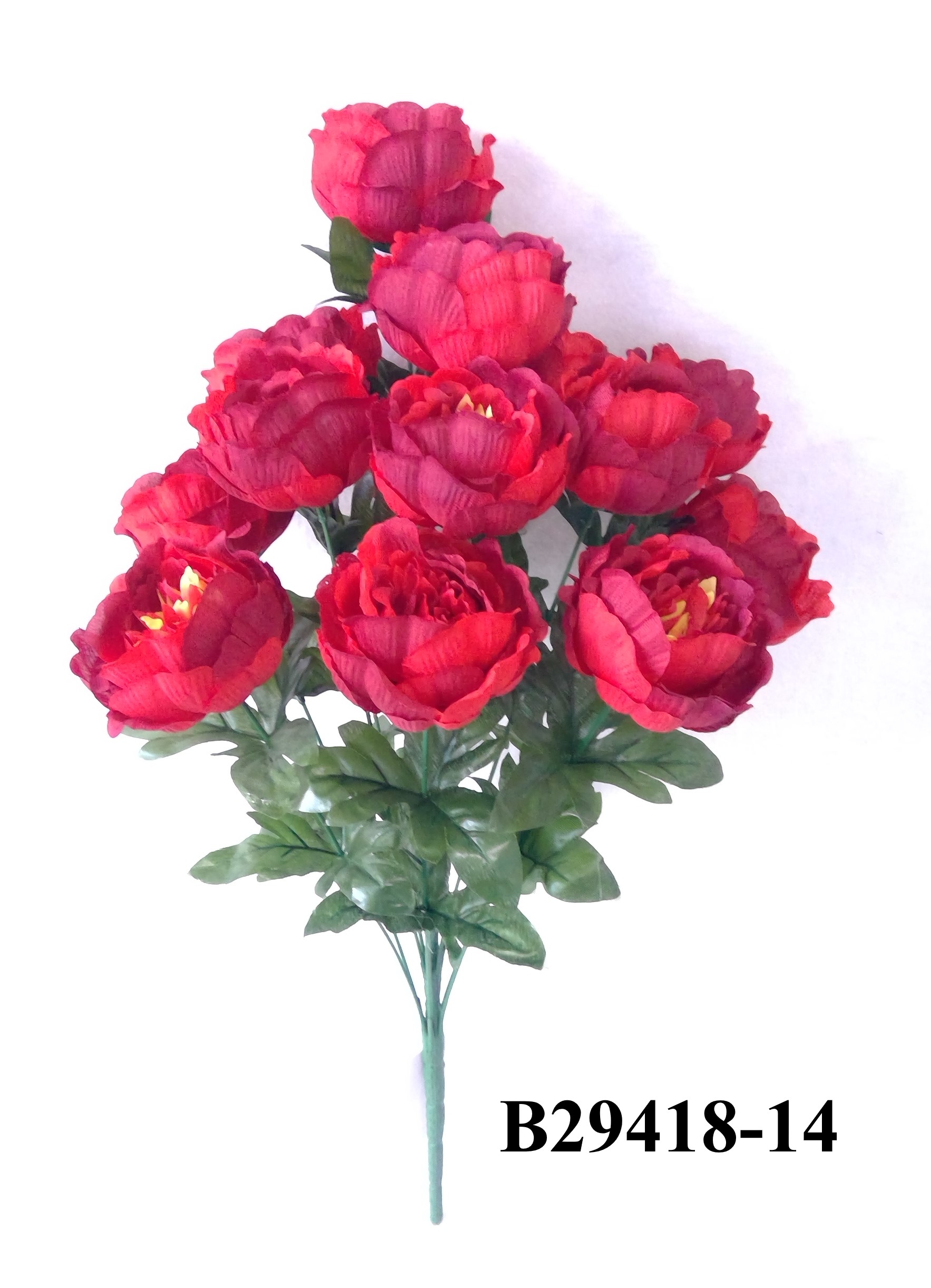 Peony bush x 14