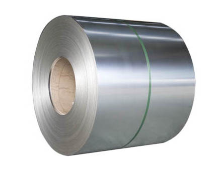 Galvanized Steel Coils
