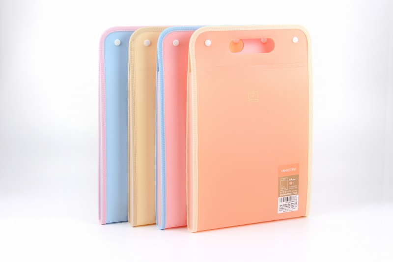 Vertical A4 Expanding file 12 pockets