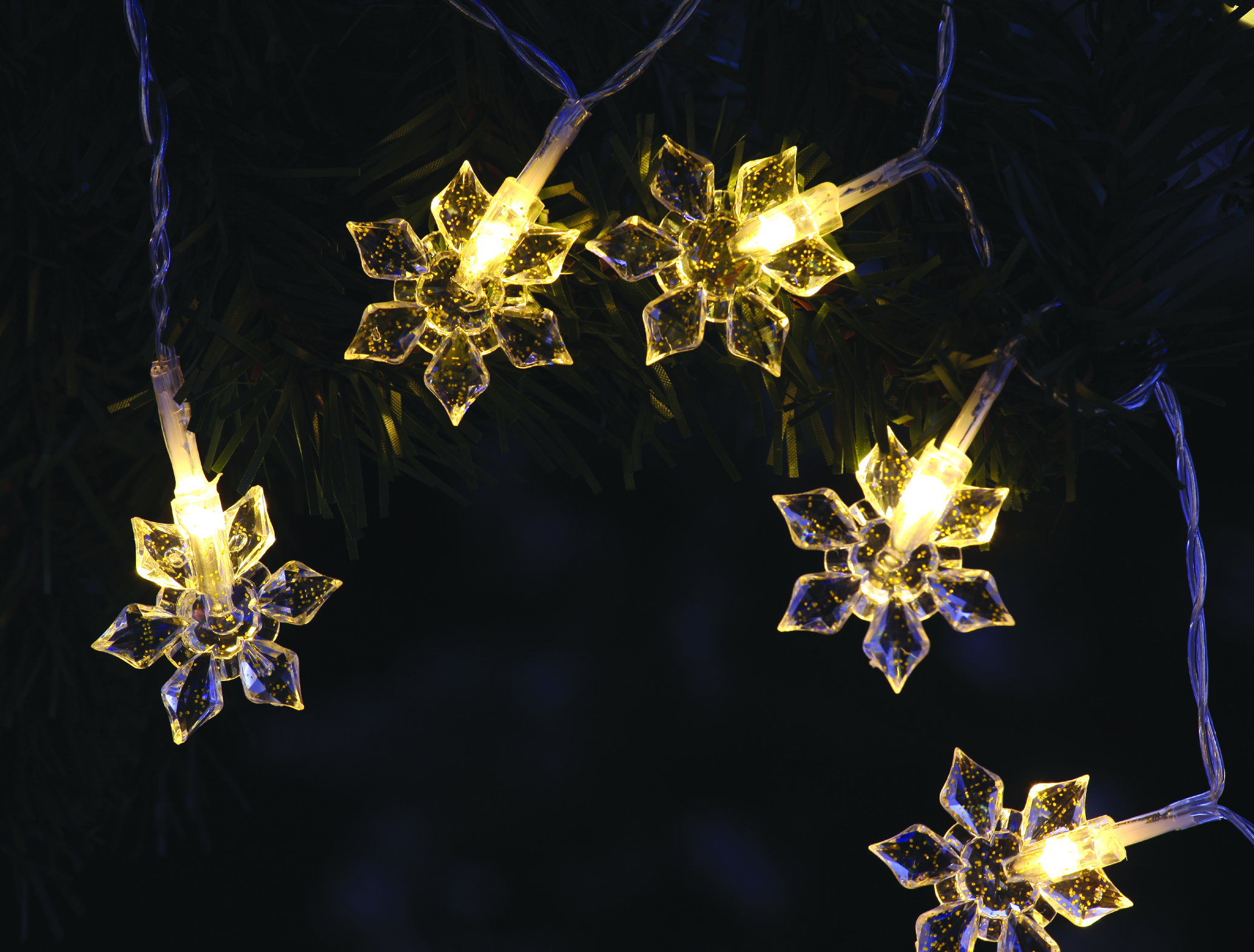 christmas lights