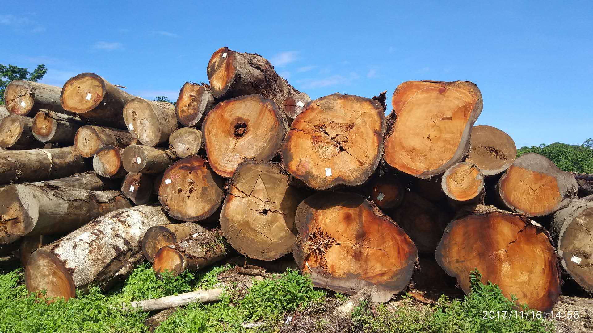 LOG