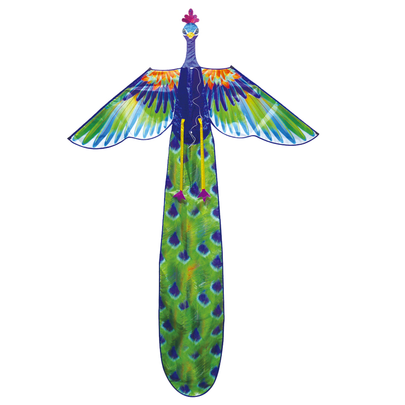 3d Peacock Kite